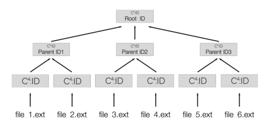 The C4 Identification System Universally Consistent Identification Without Communication